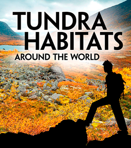 Exploring Earth's Habitats:Tundra Habitats Around the World(PB)