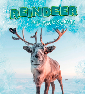 Reindeer Are Awesome (Paperback)