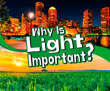 Why Is Light Important? (Paperback)