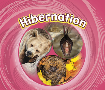 Hibernation (Paperback)