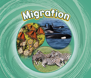 Migration (Paperback)