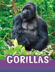 Gorillas (Paperback)