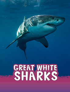 Great White Sharks (Paperback)