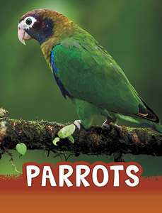 Parrots (Paperback)