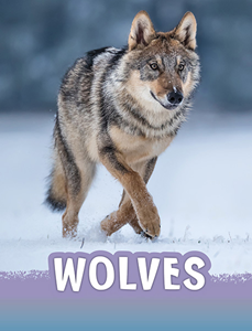 Wolves (Paperback)