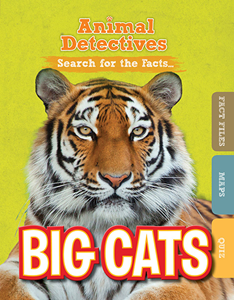 Big Cats (Paperback)