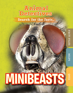 Minibeasts (Paperback)