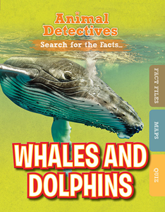 Whales and Dolphins (Paperback)