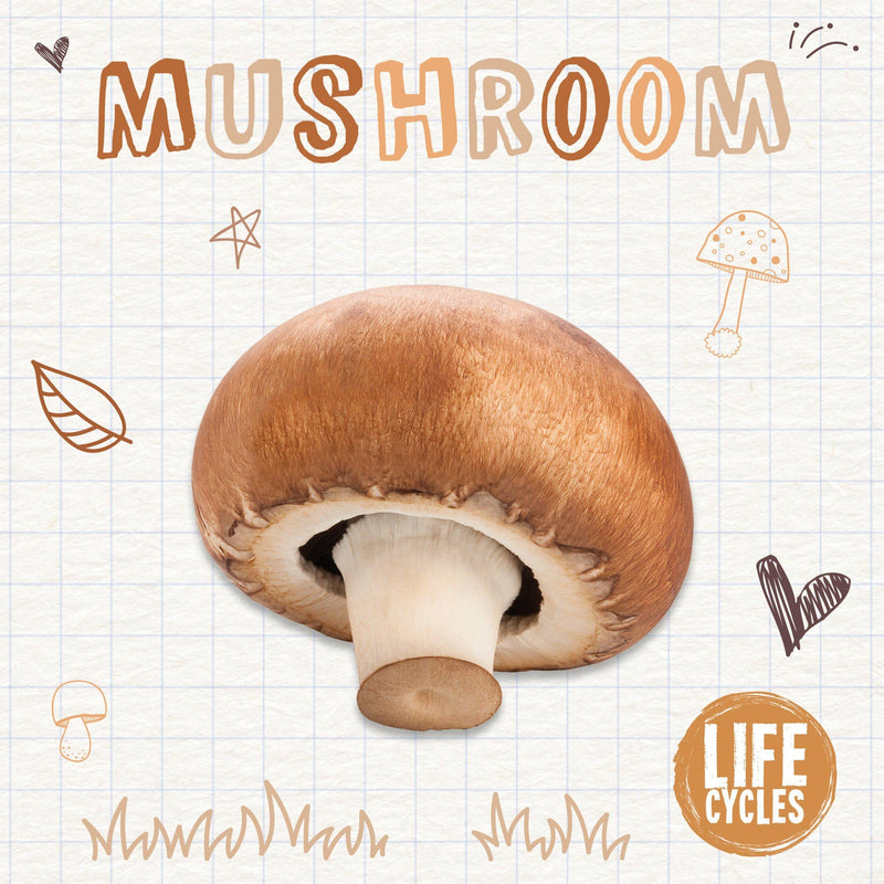 Life Cycles: Mushroom-PB