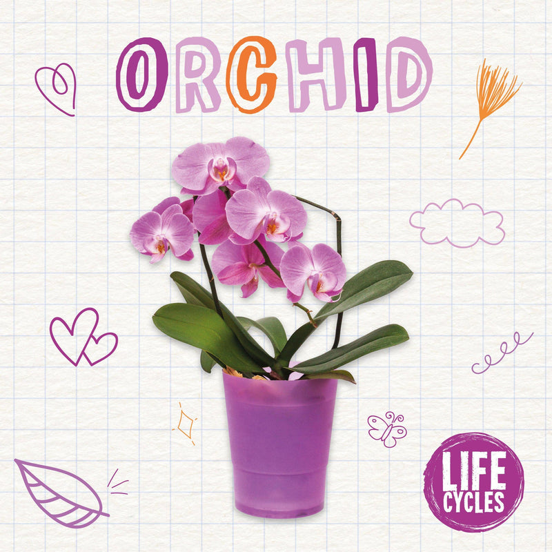 Life Cycles: Orchid-PB