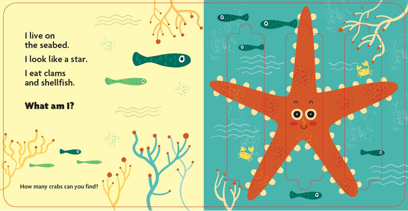 Slide & See Books - Activity Books:Sea Creatures