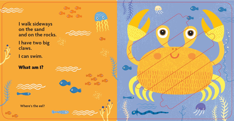 Slide & See Books - Activity Books:Sea Creatures