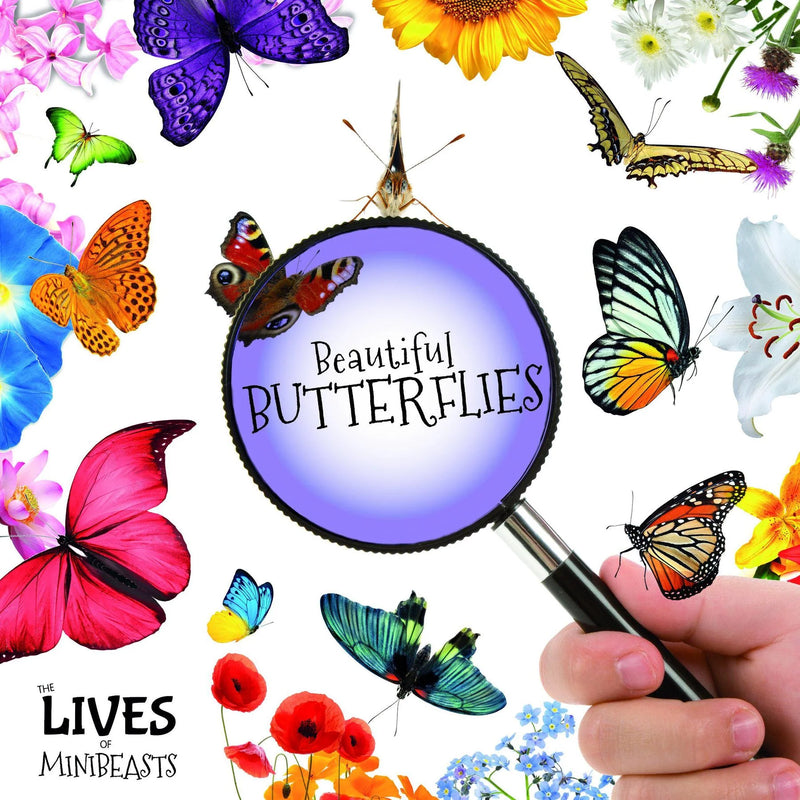 The Lives of Mini Beasts:Beautiful Butterflies(HB)