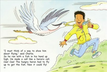 Red Rocket Fluency Level 1 Fiction C (Level 15): Charlie’s Flying Lessons