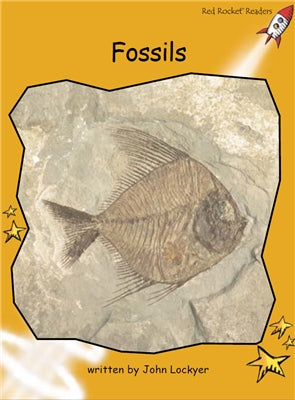 Red Rocket Fluency Level 4 Non Fiction A (Level 21): Fossils