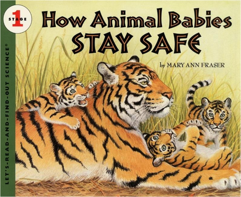 How Animal Babies Stay Safe(Let's-Read-And-Find-Out Science 1)