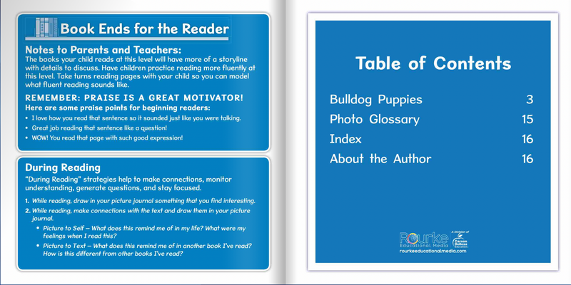 Ready Readers:Bulldog Puppies