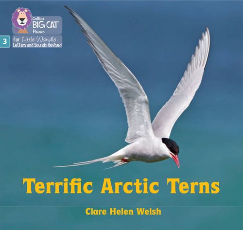 Little Wandle-Phase 3: Terrific Arctic Terns