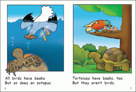 Red Rocket Early Level 4 Fiction B (Level 13): Why is a Bird a Bird?