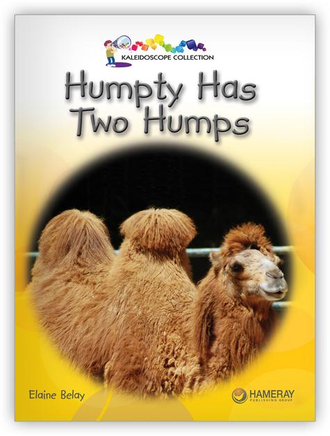 Kaleidoscope GR-G: Humpty Has Two Humps