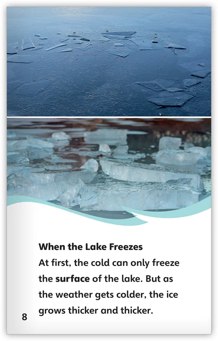 Life in a Frozen Lake (Fables & The Real World)