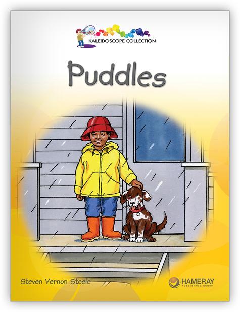 Kaleidoscope GR-E: Puddles