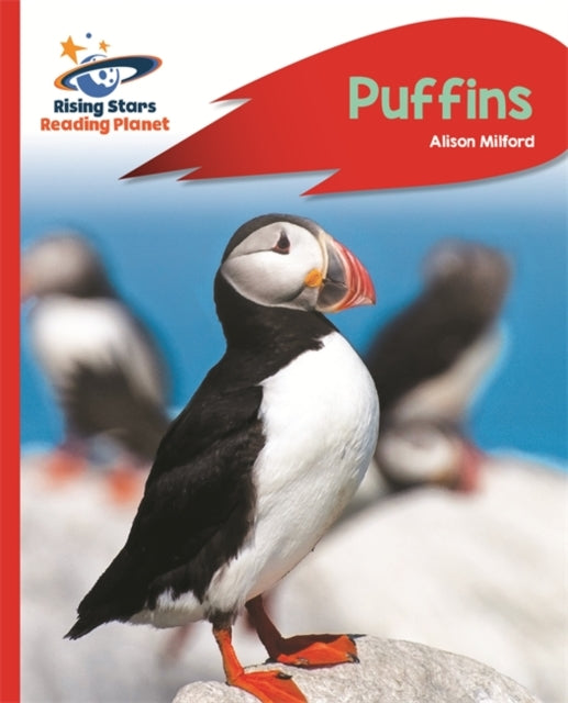 Puffins(RS Rocket Phonic: Red A)