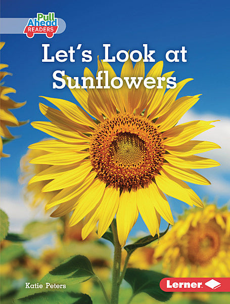 Plant Life Cycles:Let's Look at Sunflowers